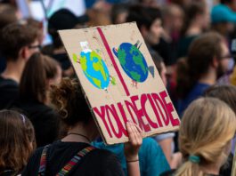 Schüler gehen auch in Limburg für Klimaschutz auf die Straße Schülerin hält auf einer Fridays For Future Demonstration ein Schild mit der Aufschrift „You Decide“ hoch. © Dominic Wunderlich, Pixabay