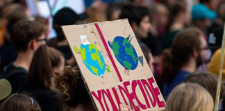 Schüler gehen auch in Limburg für Klimaschutz auf die Straße Schülerin hält auf einer Fridays For Future Demonstration ein Schild mit der Aufschrift „You Decide“ hoch. © Dominic Wunderlich, Pixabay