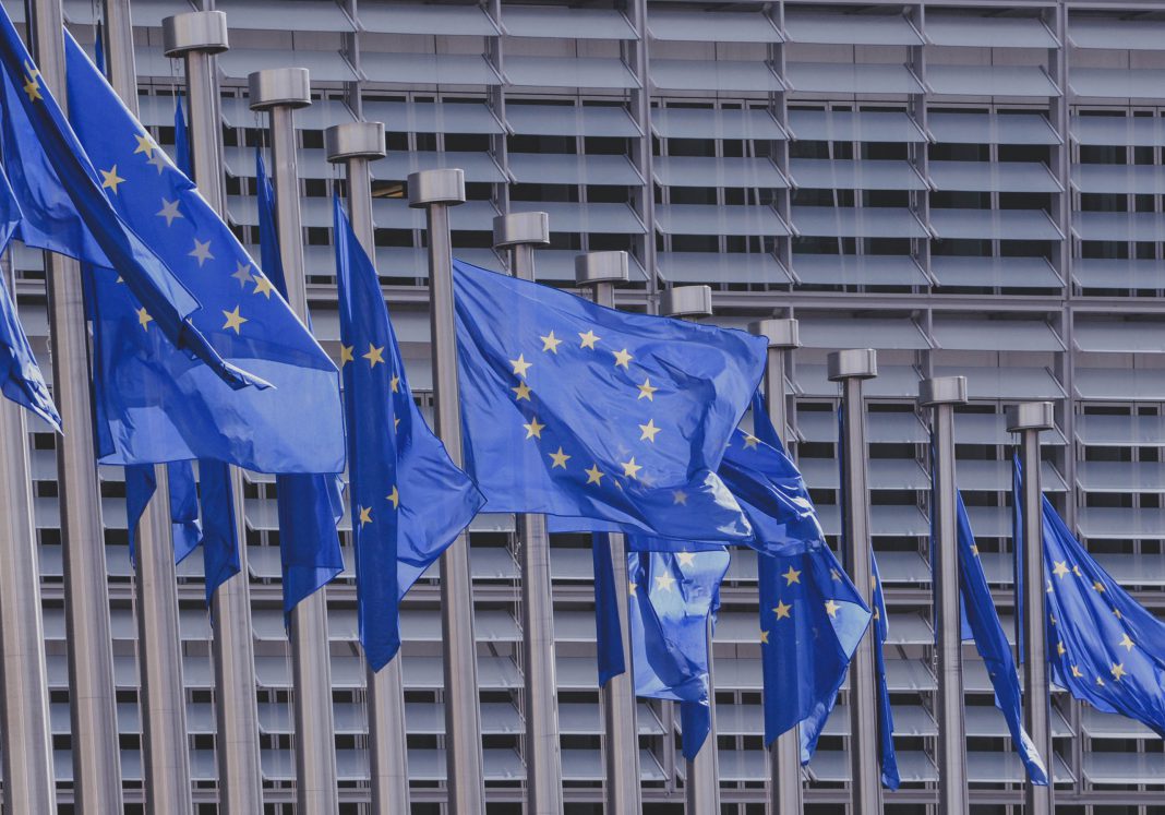 In Straßburg wehen die EU-Flaggen! Europawahl 2019: Am 26. Mai können Sie wählen. | Neues Limburg