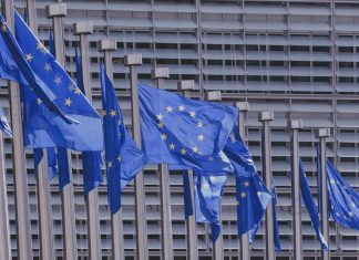 In Straßburg wehen die EU-Flaggen! Europawahl 2019: Am 26. Mai können Sie wählen. | Neues Limburg