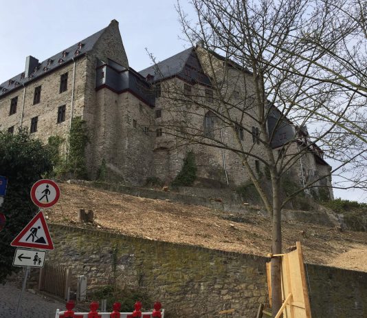 Schlossgarten Limburg: Pläne nur begrenzt umsetzbar So sah der Schlossgarten in Limburg nach der Rodung am 2. April aus. © Luís Matos