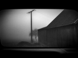 „REAR SEAT DIARIES“: Die bemerkenswerte Perspektive eines Rollstuhlfahrers Ein Blick aus dem Heck durch Ralph Milewskis Linse, bedingt eine gewisse Bewegungsunschärfe, und entführt den Betrachter in seine Welt der Fließbewegung. © Ralph Milewski