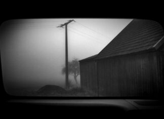 „REAR SEAT DIARIES“: Die bemerkenswerte Perspektive eines Rollstuhlfahrers Ein Blick aus dem Heck durch Ralph Milewskis Linse, bedingt eine gewisse Bewegungsunschärfe, und entführt den Betrachter in seine Welt der Fließbewegung. © Ralph Milewski