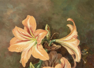 aufBLÜHEN: Beeindruckende Blumenstillleben im Historischen Rathaus Von Adam Wolf, der 36 Jahre an der Tilemannschule unterrichtete, stammen die »Amaryllis«. Das Bild, Öl auf Sperrholz, ist Bestandteil der Ausstellung "aufBLÜHEN". © Foto Karl